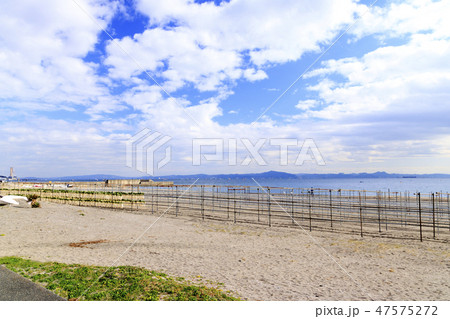 三浦海岸 47575272