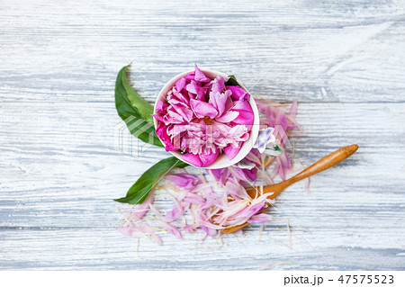 Cup of green tea and spring peonies blossom on a old wooden background. Rustic. 47575523