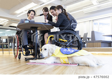 日本ユニバーサルマナー協会監修素材 障害者　ビジネス　車椅子　介助犬　 47576002