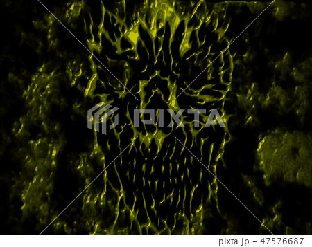 Scary monster shabby head illustration. Scary monster shabby head illustration. 47576687
