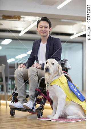 日本ユニバーサルマナー協会監修素材 障害者　介助犬　車椅子　 47577032