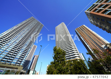 日本の川崎都市景観 武蔵小杉のタワーマンション 日本の川崎都市景観 武蔵小杉のタワーマンション 47577042