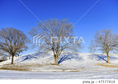 パサン草原 モンゴル 自然 47577819