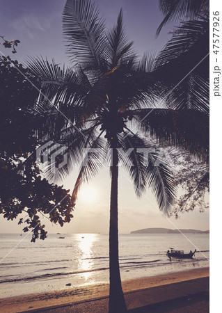 Tropical beach at sunset. 47577926