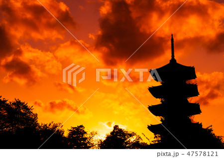 池上本門寺の夕焼け 池上本門寺の夕焼け 47578121