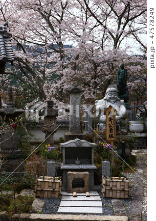 谷性寺より 谷性寺より 47578249