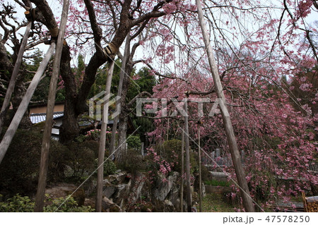 谷性寺より 谷性寺より 47578250
