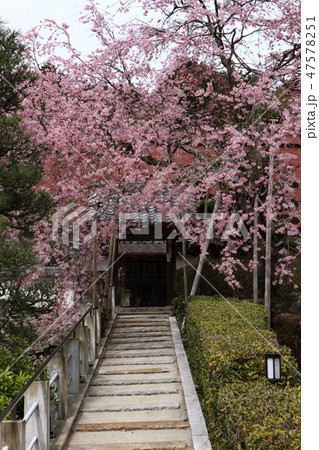 谷性寺より 谷性寺より 47578251