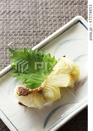 たらの粕漬け焼き8 たらの粕漬け焼き8 47578653