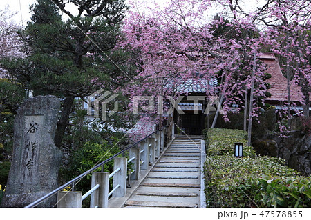 谷性寺より 谷性寺より 47578855