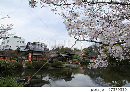 神泉苑より 47579530