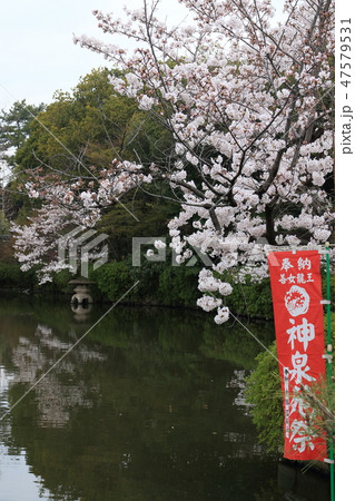 神泉苑より 神泉苑より 47579531