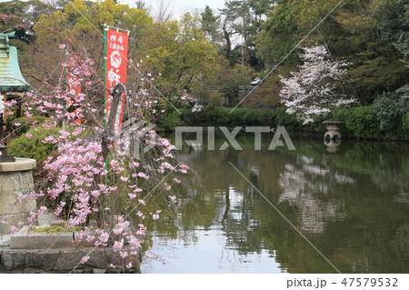 神泉苑より 47579532