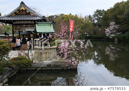 神泉苑より 47579533