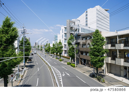 名古屋市中村区 鳥居通4交差点付近 中村日赤病院 名古屋市中村区 鳥居通4交差点付近 中村日赤病院 47580866