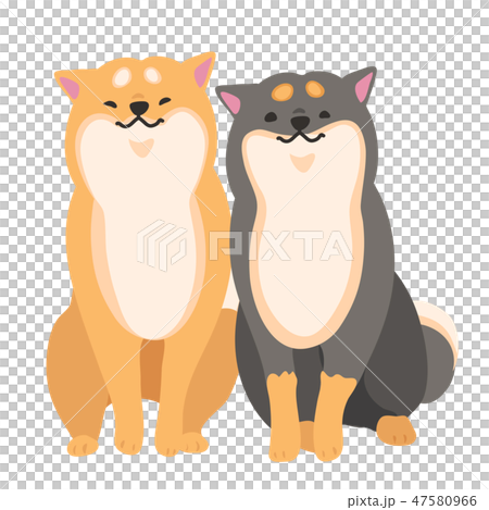 Shiba Inu Dog Akaiba Kuroba pose facial expression Heartwarming 47580966