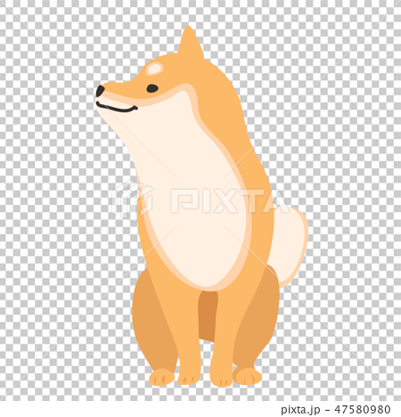 柴犬 犬 赤柴 ポーズ 表情 おすわり 横顔のイラスト素材