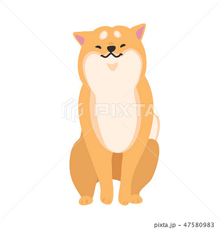 柴犬　犬　赤柴　ポーズ　表情　おすわり　ほのぼの 47580983