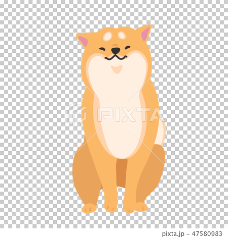 柴犬　犬　赤柴　ポーズ　表情　おすわり　ほのぼの 47580983