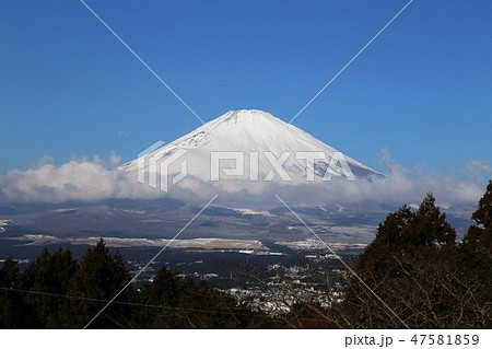 御殿場から見る富士山 御殿場から見る富士山 47581859
