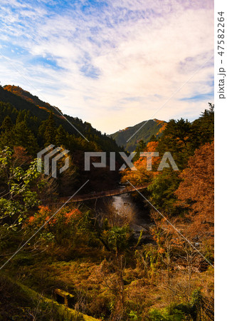 東京都 紅葉彩る秋の秋川渓谷 東京都 紅葉彩る秋の秋川渓谷 47582264