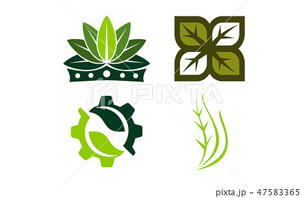Leaf Template Vector Set 47583365