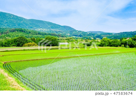 初夏の田園風景 47583674
