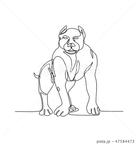 American Bully Continuous Line 47584473