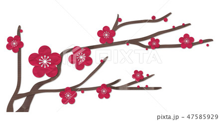 梅の花 紅梅 梅の花 紅梅 47585929