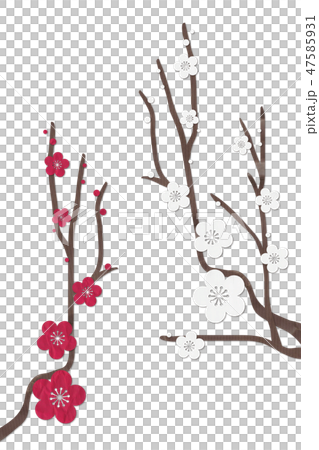 梅花紅梅花 梅花紅梅花 47585931