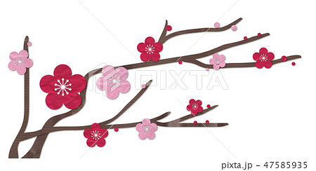 Plum flower red plum pink - Stock Illustration [47585935] - PIXTA