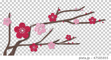 李子花紅色李子桃紅色 47585935