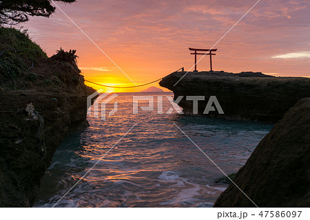 [静岡県]　下田市　白浜鳥居　朝焼け　日の出 47586097