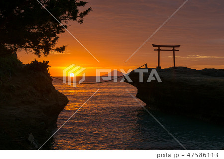 [静岡県]　下田市　白浜鳥居　朝焼け　日の出 47586113