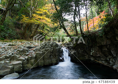 [静岡県]　河津七滝　カニ滝 47586439