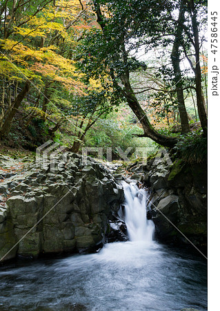 [静岡県]　河津七滝　カニ滝 47586445