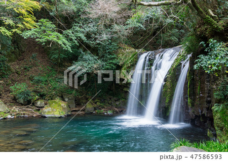 [静岡県]　河津七滝　初景滝 47586593