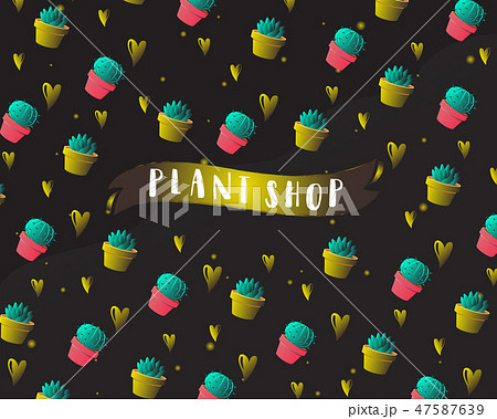 Cactus in pot. Cactus background. 47587639