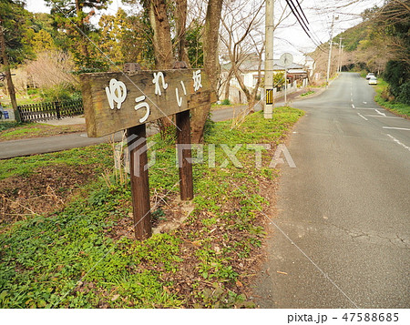 岡垣町　成田山　ゆうれい坂 47588685