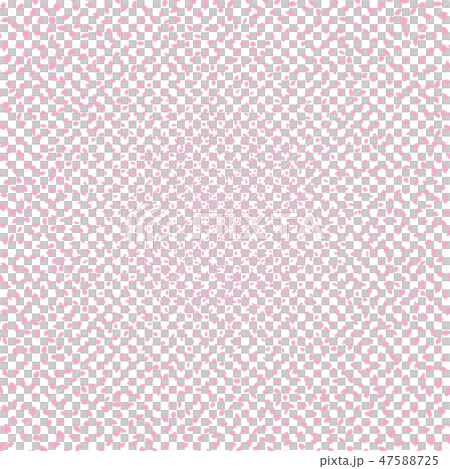 Cherry Blossoms   47588725