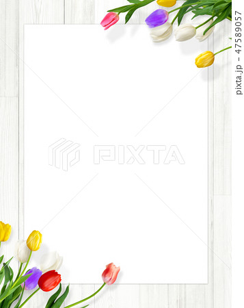 背景-壁-春-白壁-チューリップ-フレーム 47589057