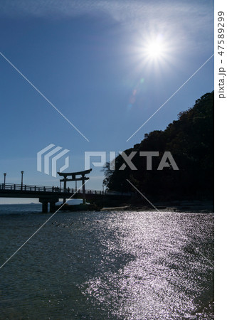 [愛知県]　蒲郡市　竹島 47589299