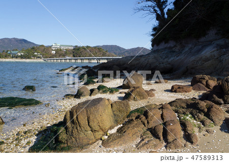 [愛知県]　蒲郡市　竹島 47589313