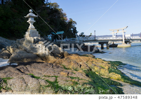 [愛知県]　蒲郡市　竹島 47589348