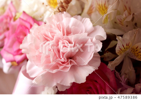 カーネーション 花 花束 47589386