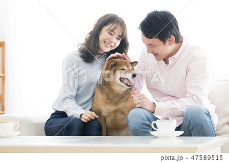 柴犬と夫婦 柴犬と夫婦 47589515