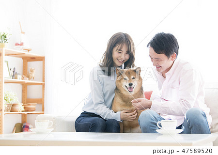 柴犬と夫婦 柴犬と夫婦 47589520
