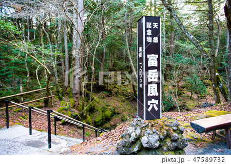 富士山 富岳風穴 富士山 富岳風穴 47589732
