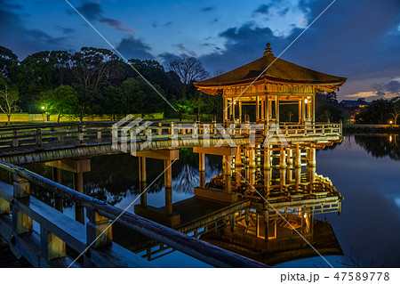 奈良県　浮見堂のライトアップ夜景 47589778