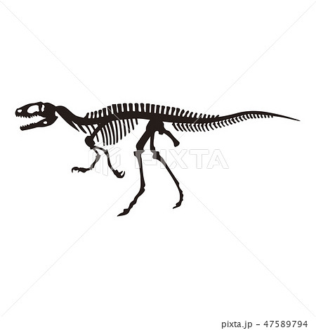 無料イラスト画像 最新恐竜 骨 イラスト フリー
